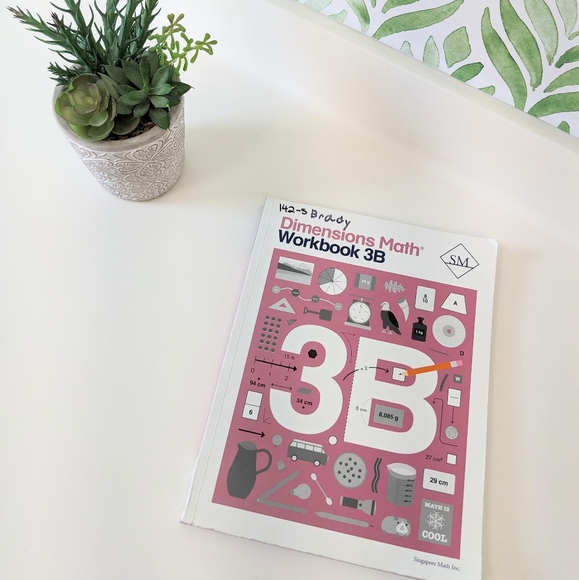 Singapore Dimensions Math Workbook 3B - Picture 2 of 6